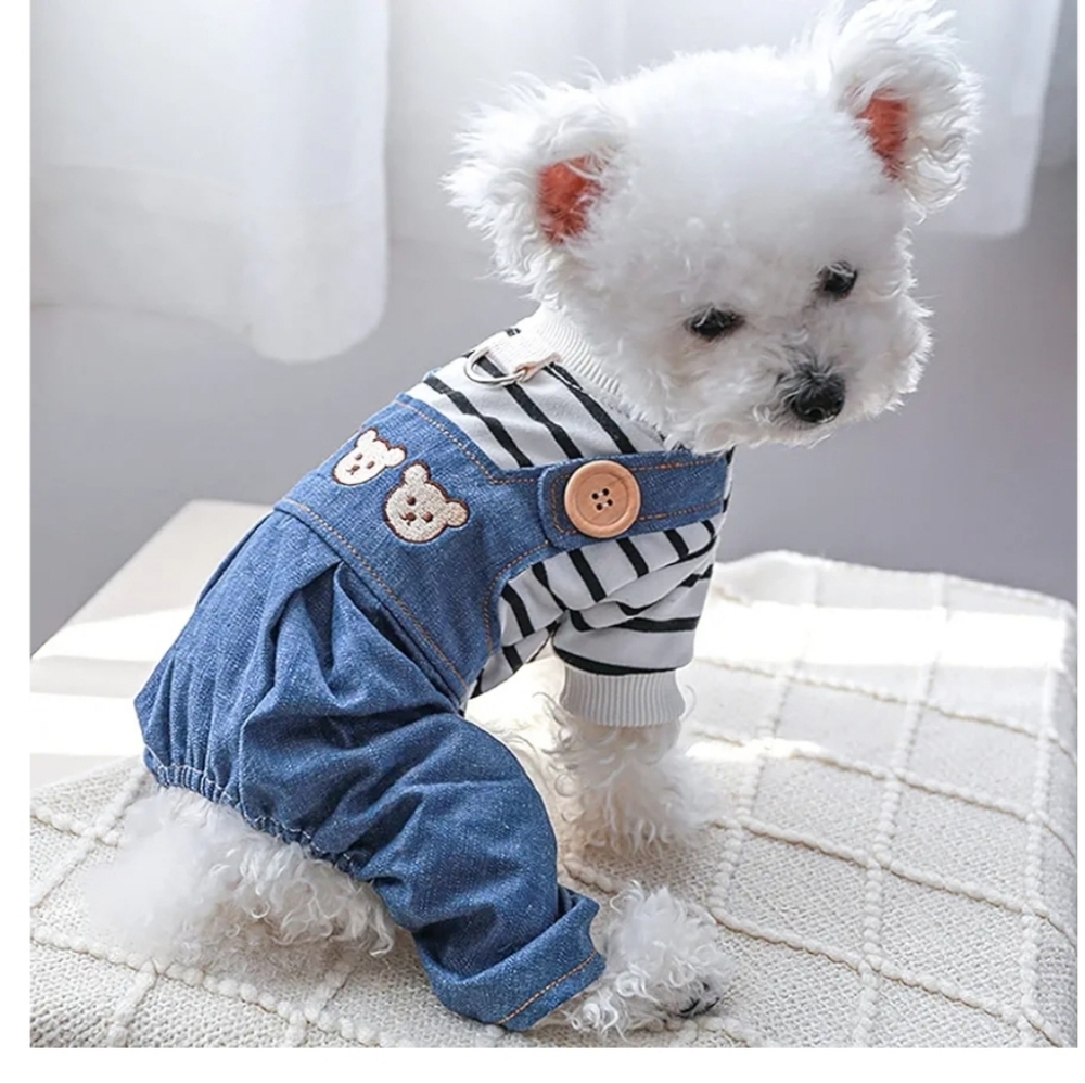 Extra Small dog clothes